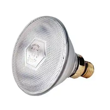 Kerbl Bombilla Infrarrojos Philips 100 W, Blanca