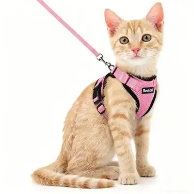 ZooVenture Arnés reflectante ajustable para gatos - rosa - s - Zooventure - Comparador de precios