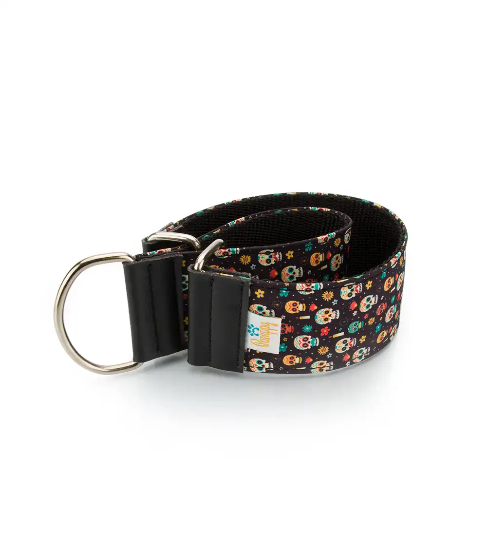 Collar Pamppy Galgo Speedy Calavera Mexicana para perros