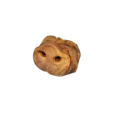 Lenda Snack Careta de Cerdo XL (Hocico) - 1 unidad - Lenda - Comparador de precios