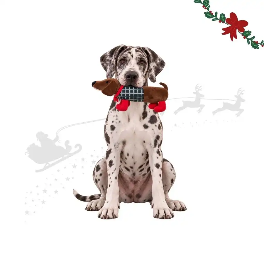 Wonder Christmas Perro Salchicha XL Peluche para perros 60 x 22 x 11 cm - Wonder Christmas - Comparador de precios