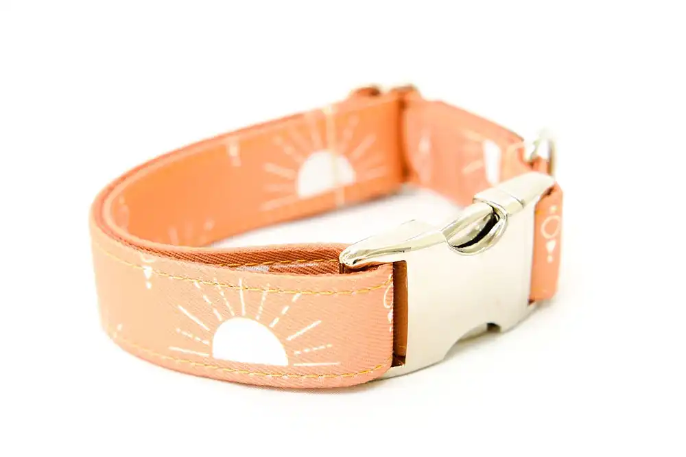 Collar SUNNY DAYS normal perro 2cm XS-S