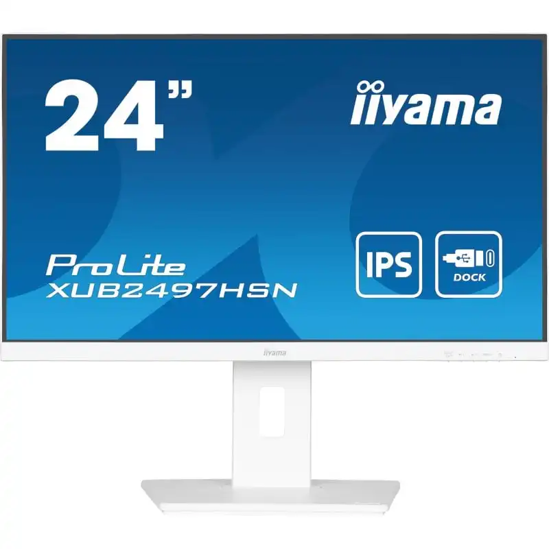 Iiyama Prolite XUB2497HSN-W1 24" LED IPS WQHD 100Hz USB-C