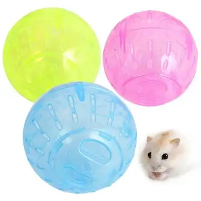 IntiMeg Pelota de carreras para hámster de 10 cm - Artículo 1 - IntiMeg - Comparador de precios