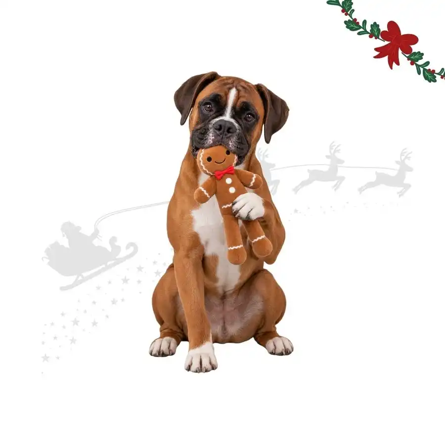 Wonder Christmas Muñeco Jengibre XL Peluche para perros 60 x 23 x 7 cm - Wonder Christmas - Comparador de precios