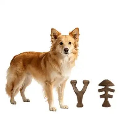 MCBOSON Juego de 2 juguetes con diseño de salmón y tocino, para perros - 1 artículo - Mcboson - Comparador de precios