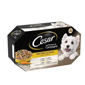 Mini Filetes Cesar En Salsa - 4 Variedades - Para Perros Adultos - 4 X 150 G (x6)