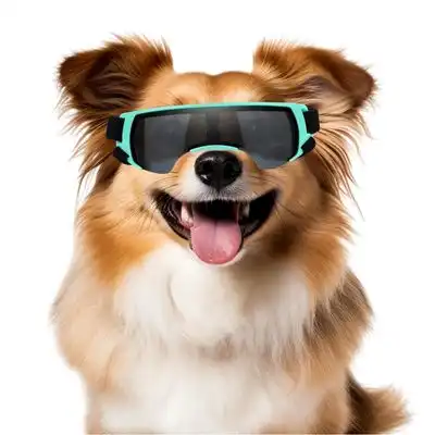 IntiMeg Gafas de sol para perros pequeños - Una pieza - IntiMeg - Comparador de precios