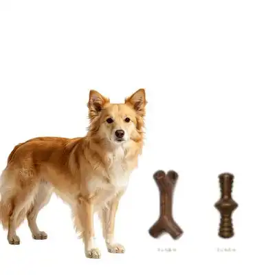 MCBOSON Juego de 2 placas para perros con diseño de tocino y jarabe de arce - 1 artículo - Mcboson - Comparador de precios