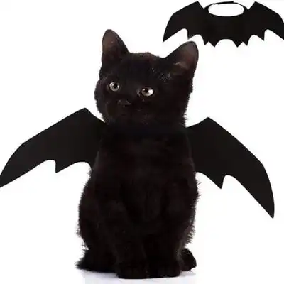 ZooVenture Alas de murciélago para gato - Fieltro negro, talla única - Negro - 16*45 - Zooventure - Comparador de precios