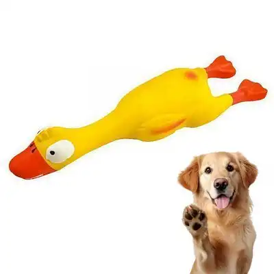 Pawffee s chirriantes para perros: 2 patitos de látex resistentes. - 22×4cm - Pawffee - Comparador de precios