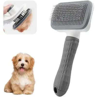 Pawffee Peine autolimpiante de cerdas largas, silicona y acero, para canas - 1 pieza - Pawffee - Comparador de precios