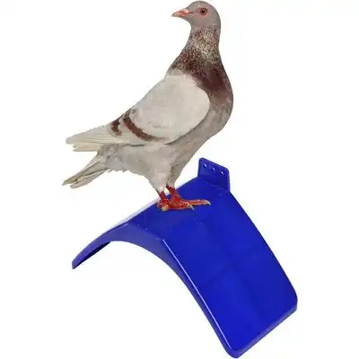 UAMLY Perchas para palomas, soportes para perchas de pájaros - 10 artículos - Uamly - Comparador de precios