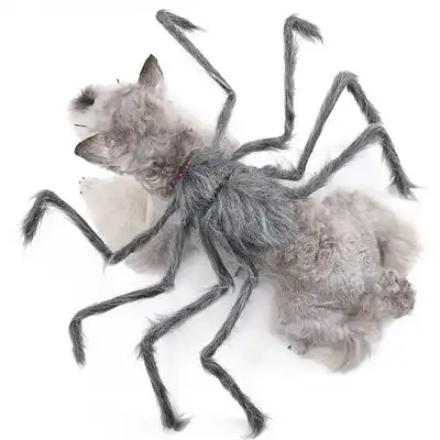 IntiMeg Disfraz de araña para perros - Una pieza - IntiMeg - Comparador de precios