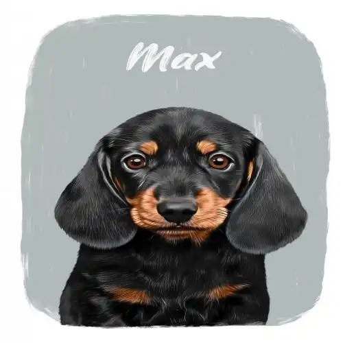 Mascochula max retrato realista personalizado en digital con tu mascota gris