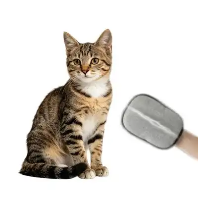 MCBOSON Guante y escobilla de goma 2 en 1 para eliminar pelo gatos perros - 2 artículos - Mcboson - Comparador de precios