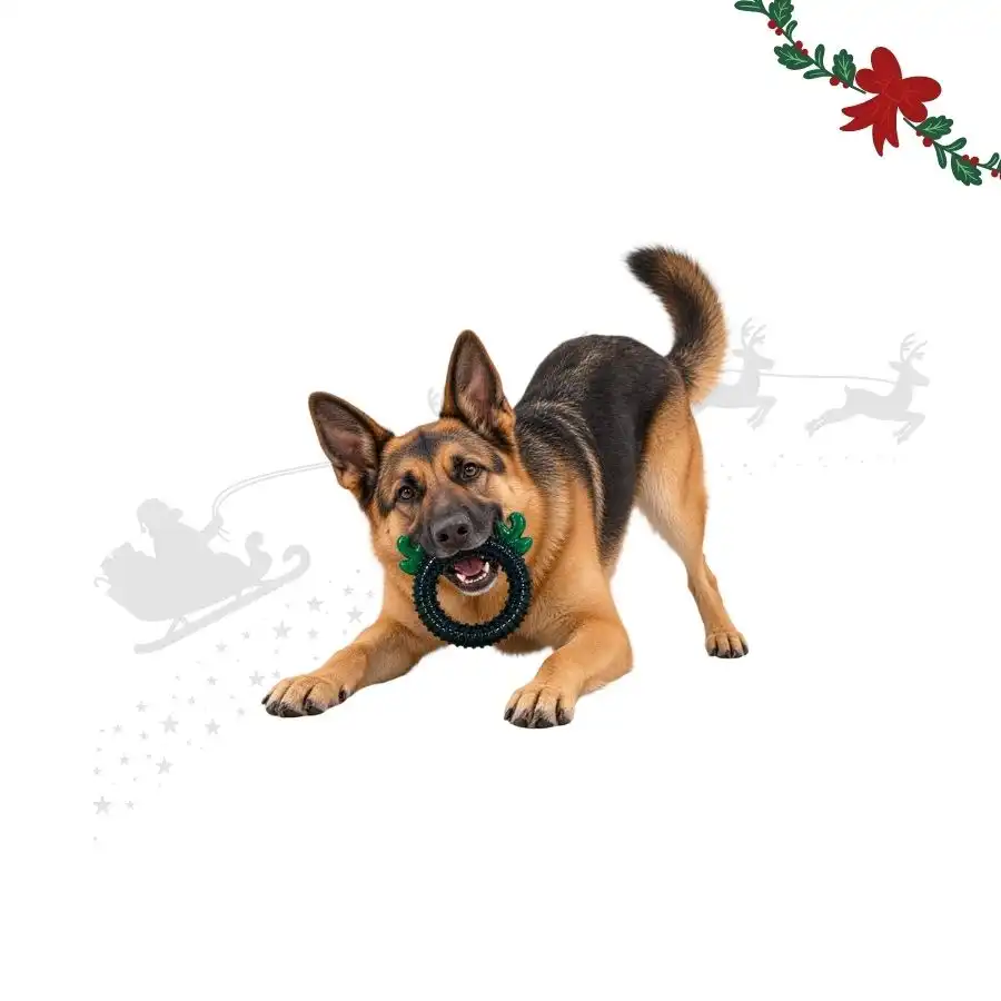 Wonder Christmas Aro de Reno  para perros 12.5 x 2.5 x 18 cm - Wonder Christmas - Comparador de precios