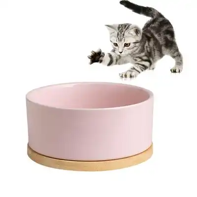 IntiMeg Bebedero termorregulado para gatos y perros - Rosa - IntiMeg - Comparador de precios