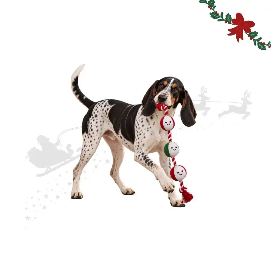 Wonder Christmas Cuerda y Cascabel  para perros 75 x 10 x 8 cm - Wonder Christmas - Comparador de precios
