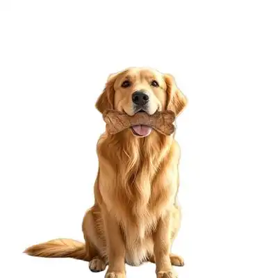FurryFusion  de PP con forma de hueso para perros, 218*75*52 mm - Grande - Furry Fusion - Comparador de precios