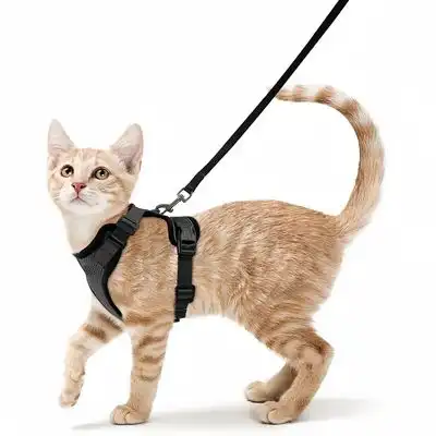 ZooVenture Arnés ajustable para gatos y perros pequeños - S - Zooventure - Comparador de precios