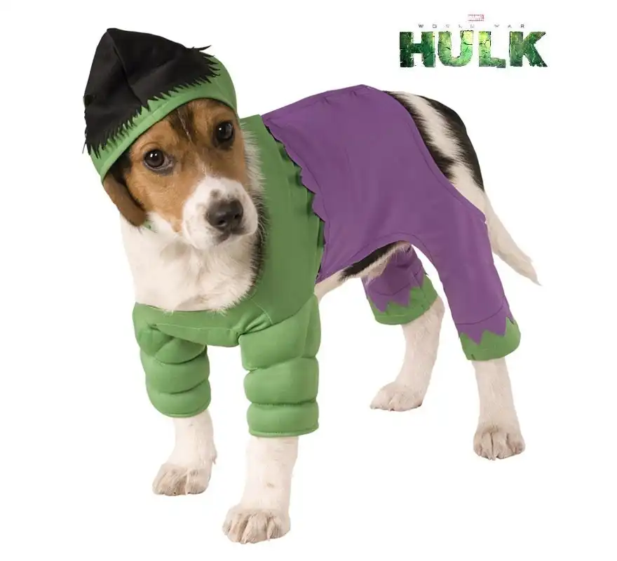 Disfraz de Hulk con gorro para perro