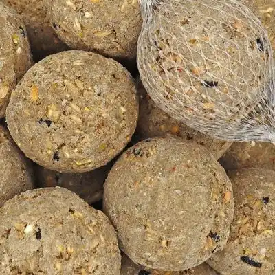 KLASEBO Bolas de grasa con red para aves silvestres - 100 x aprox. 90 g - Klasebo - Comparador de precios