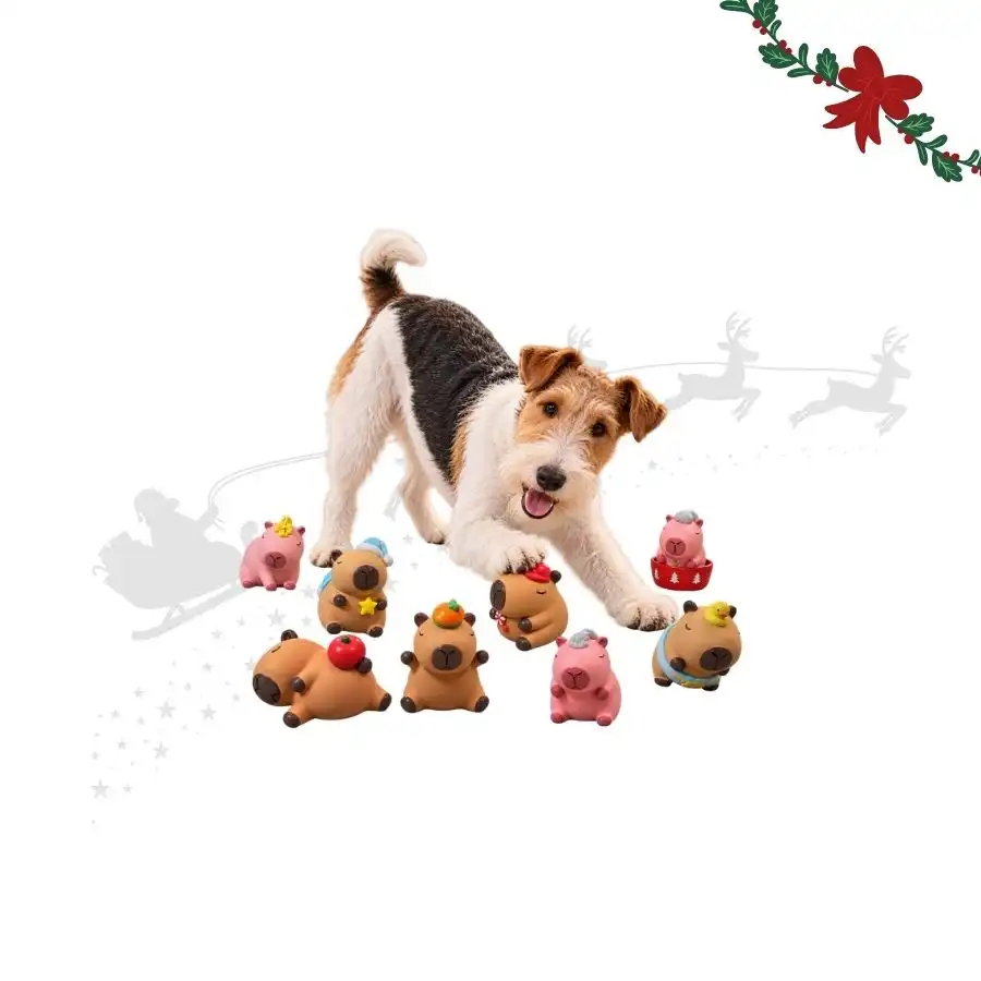 Wonder Christmas Colección Capibara  para perros 9 uds. - Wonder Christmas - Comparador de precios