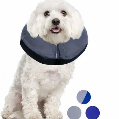 FurryFusion cono de protección para perros - L - Furry Fusion - Comparador de precios