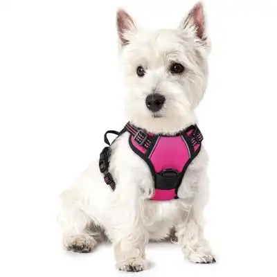 Pawffee Arnés acolchado ajustable para perros, talla S, 34-63 cm, rojo rosa - 1 pieza - Pawffee - Comparador de precios