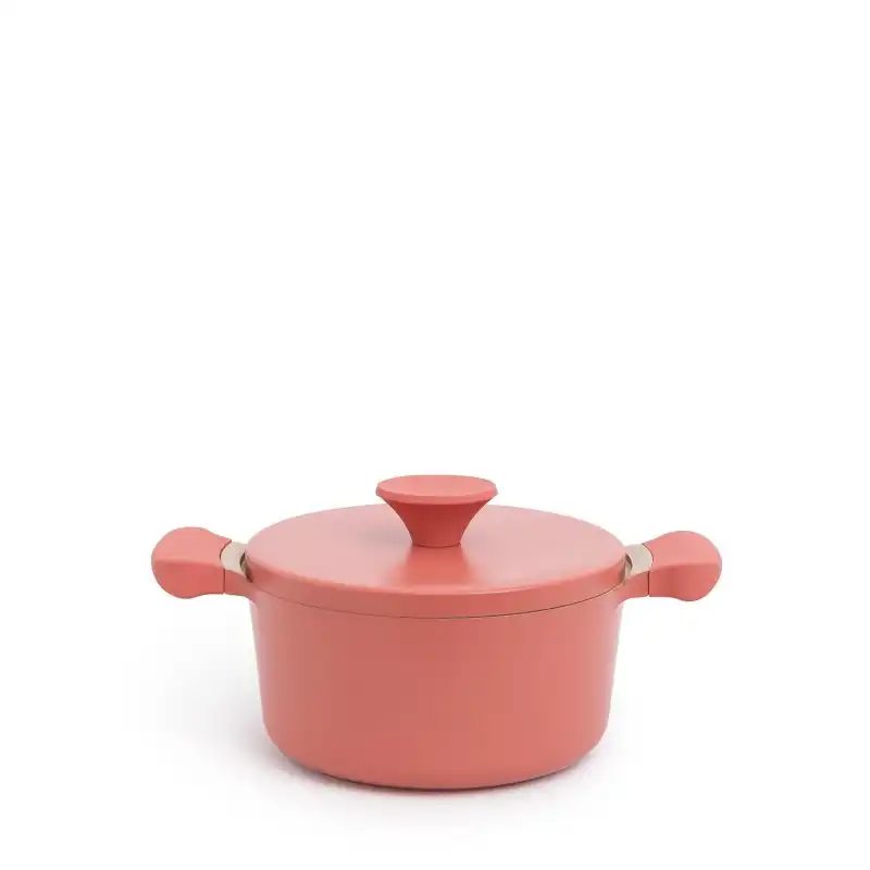 Create Pot Studio Olla de Aluminio Fundido y Asas de Baquelita 20cm Rosa