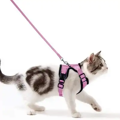 IntiMeg Arnés y correa para gatos y perros pequeños - XS - IntiMeg - Comparador de precios