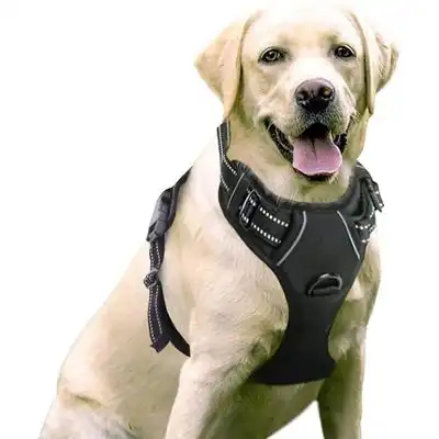 Pawffee Arnés antitirones con 2 clips ajustables para perros grandes - 1 pieza - Pawffee - Comparador de precios