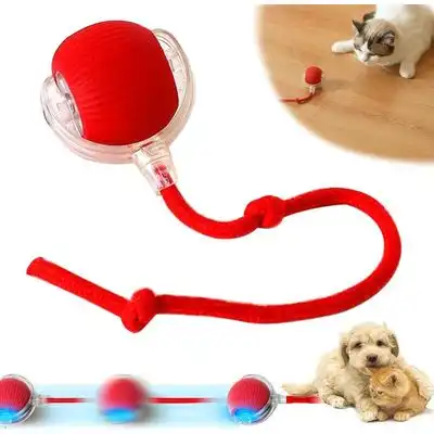Pawffee Katzen Spielball automático, interactivo Spielzeug zum Rollen - 1 pieza - Pawffee - Comparador de precios
