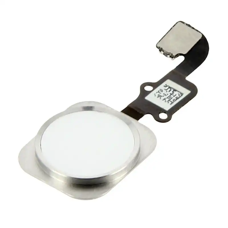 Avizar Repuesto Botón Home Blanco con Banda de Conexión para iPhone 6