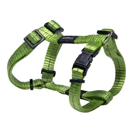 Rogz Arnés Nitelife Pequeño Verde Claro - Rogz - Comparador de precios