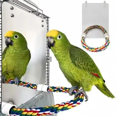 ZooVenture Espejo y juguetes para pájaros - Grande - Zooventure - Comparador de precios