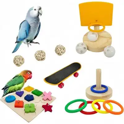ZooVenture Juego de juguetes de entrenamiento para pájaros - 4 piezas - Zooventure - Comparador de precios