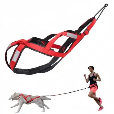 FurryFusion correa para perros de carreras - SG - Furry Fusion - Comparador de precios