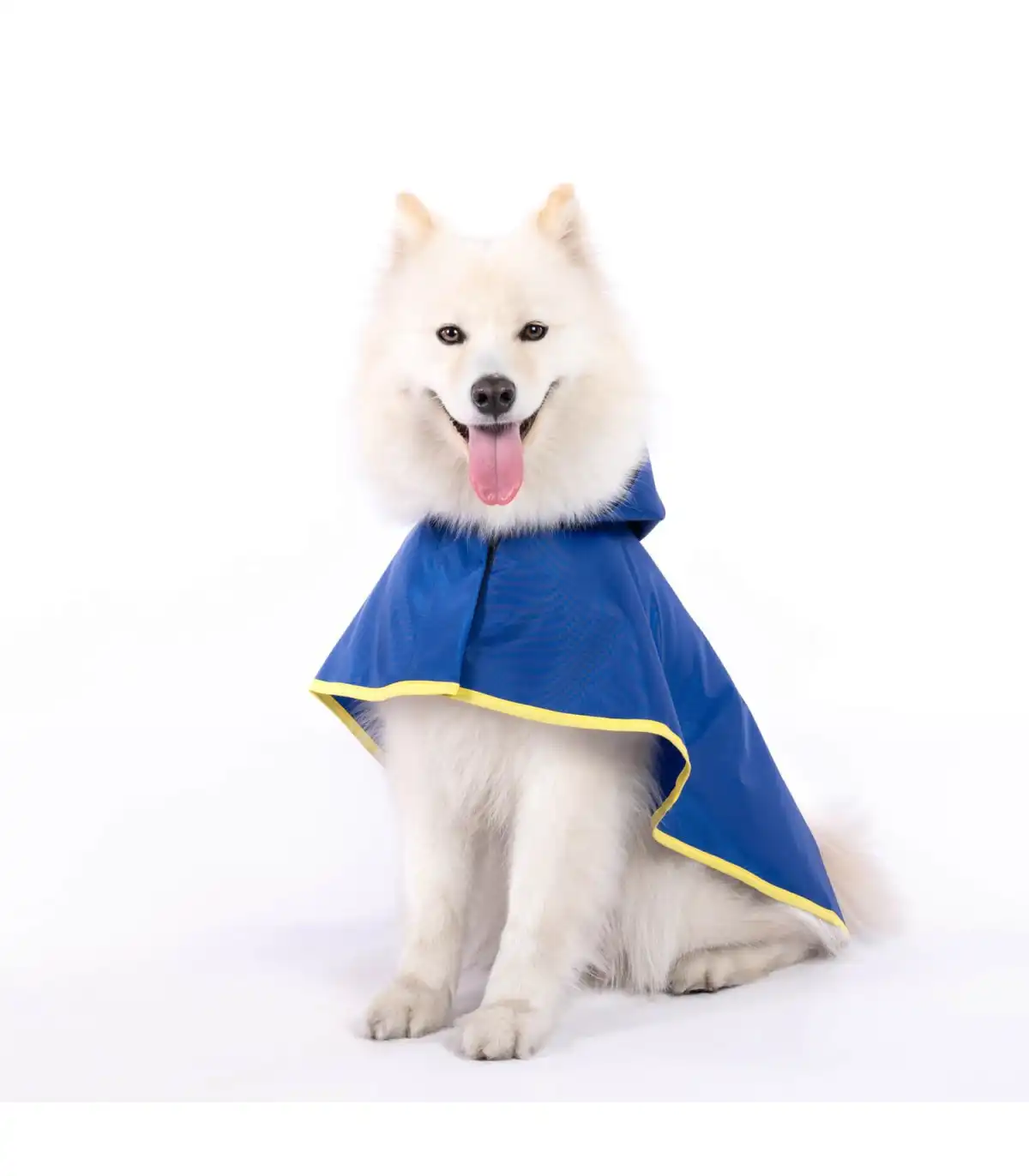 Capa de Lluvia para perro Groc Groc Lola Azul Vivo