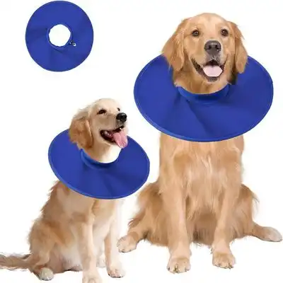 IntiMeg Collar protector para perros y gatos - L - IntiMeg - Comparador de precios