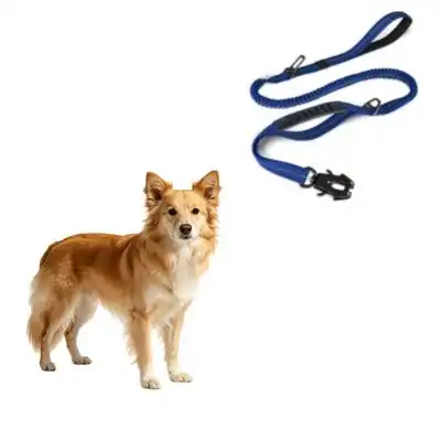 MCBOSON Correa elástica azul para perros (con 4 asas antitirones) - 1 artículo - Mcboson - Comparador de precios