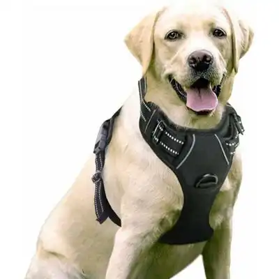 Pawffee Arnés para perros: fácil de poner, con control frontal y ajuste - 1 pieza - Pawffee - Comparador de precios