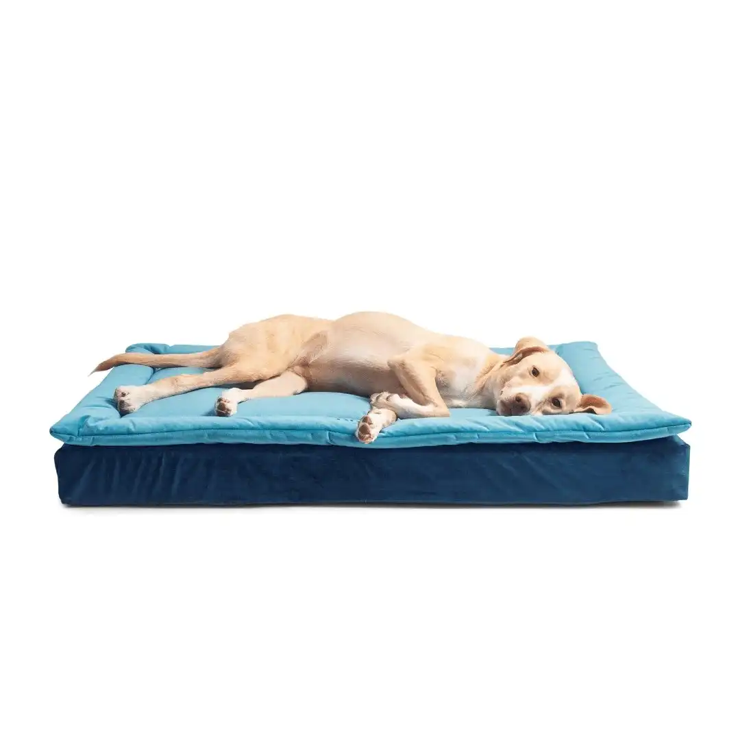 Cama para perros - Ocean