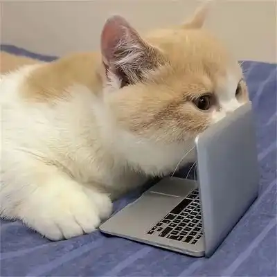 MCBOSON  interactivo para gatos, simula una computadora. - Dos habitaciones - Mcboson - Comparador de precios