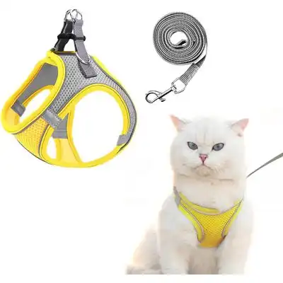 HausPets Arnés para gatos, chaleco malla ajustable, correa seguridad 150 cm - Artículo 1 - HausPets - Comparador de precios