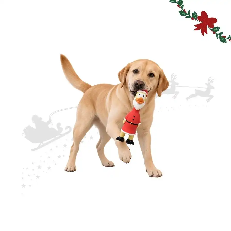 Wonder Christmas Pollo Látex  para perros - 29 x 9.5 x 7 cm - Wonder Christmas - Comparador de precios