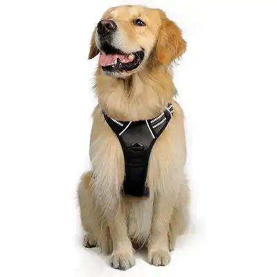IntiMeg Arnés antitirones para perros - SG - IntiMeg - Comparador de precios