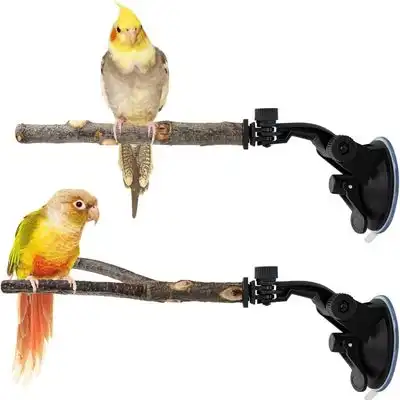 MCBOSON Juego de 2 perchas para loros con ventosa - 1 artículo - Mcboson - Comparador de precios