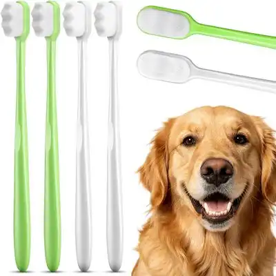 HausPets Lote 4 cepillos dentales perro gato – Blanco/verde - Blanco / Verde - HausPets - Comparador de precios